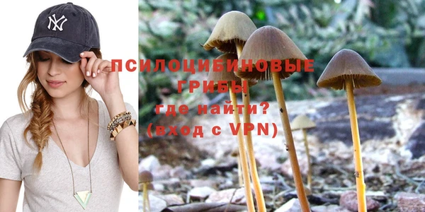 прущие грибы Остров
