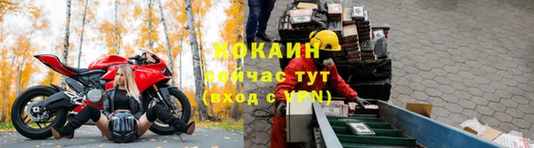 прущие грибы Остров