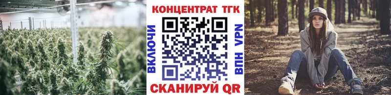 площадка формула  Гурьевск  ТГК концентрат 