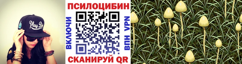 Галлюциногенные грибы Magic Shrooms  KRAKEN зеркало  Гурьевск  цены  