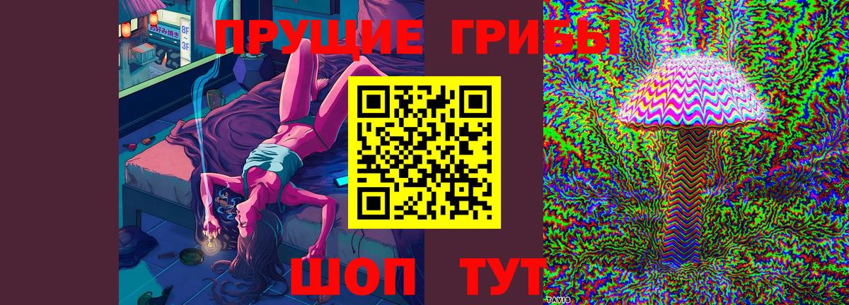 Псилоцибиновые грибы Cubensis Гурьевск