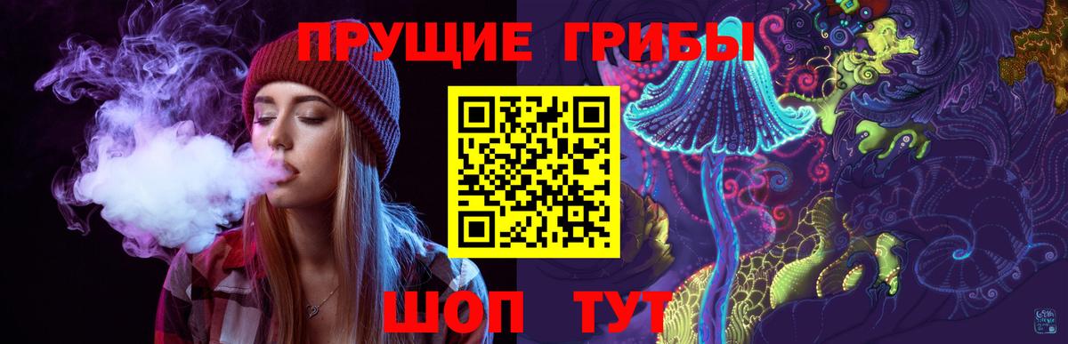 Псилоцибиновые грибы мицелий  Гурьевск 