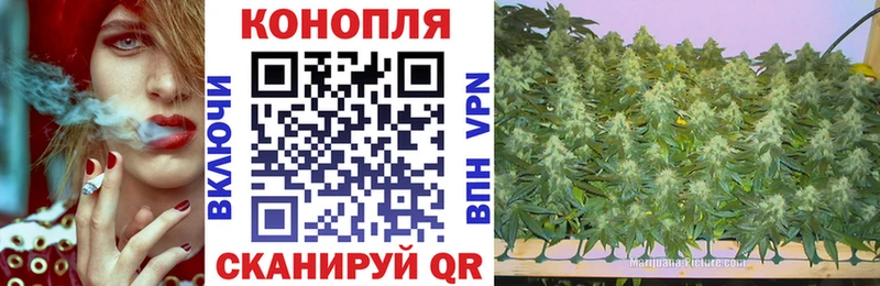Каннабис White Widow Гурьевск