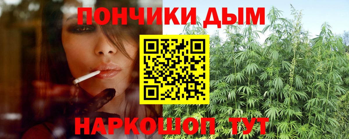Бошки марихуана MAZAR  Канабис план  Вход с VPN  Конопля ГИДРОПОН  МАРИХУАНА White Widow  Гурьевск 